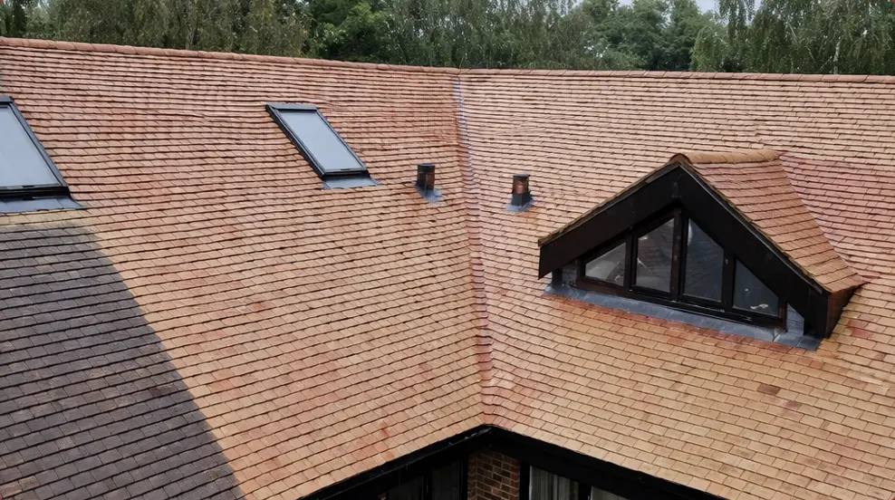 Roof cleaning service